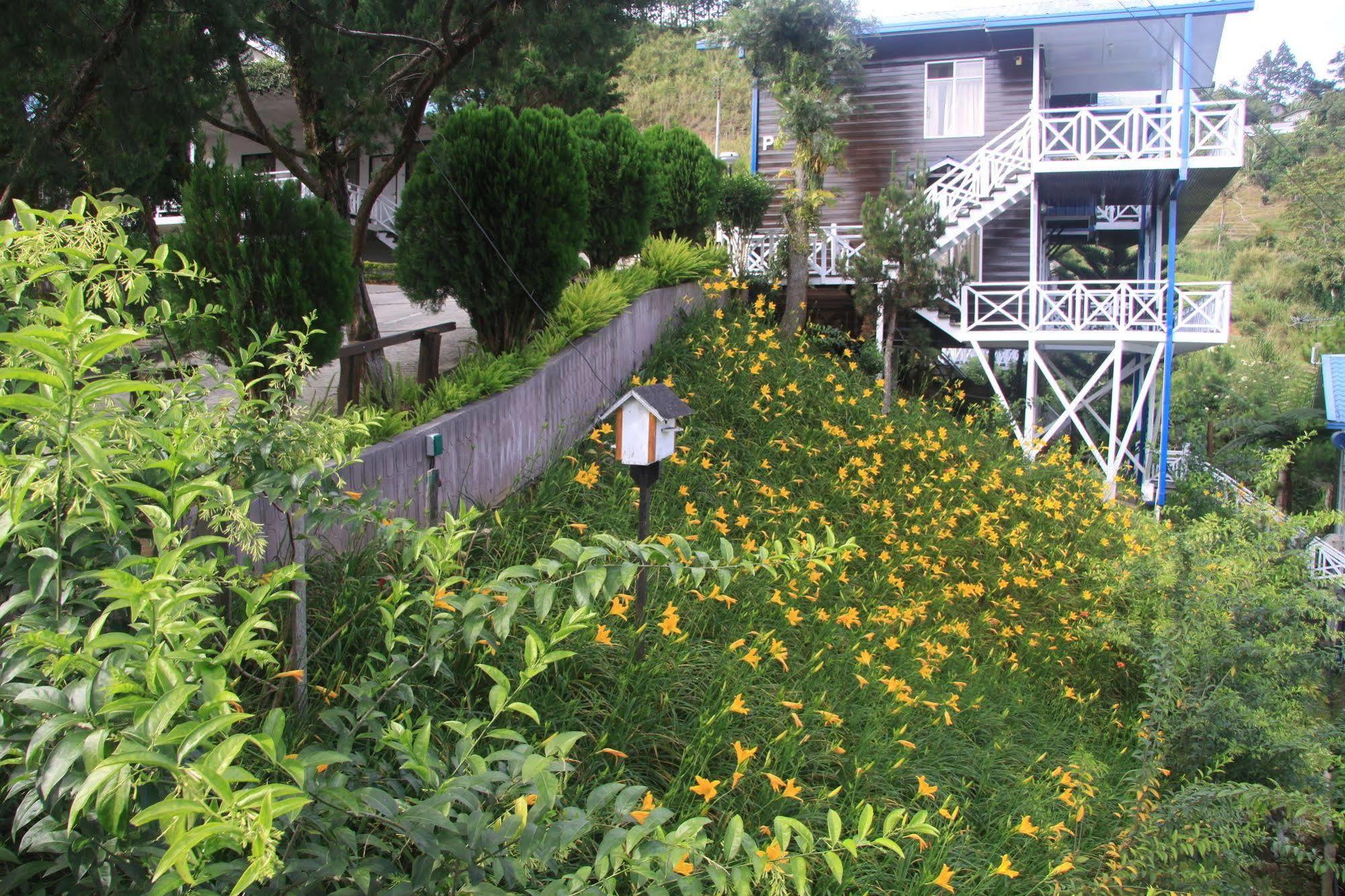 Kinabalu Pine Resort Kampong Kundassan Eksteriør bilde